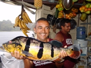 peixe_do_amazonas1