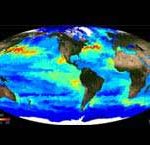 microrganismo_marinho