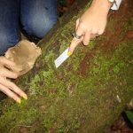 FRANCISCA HELENA MUNIZ - foto