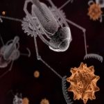 Ananotecnologia-20121220134612