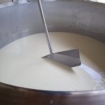 0 leite cadeia produtiva