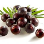acai1