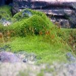 3 - IMG 20140518 085521850