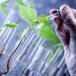 0biotecnologia-fapema