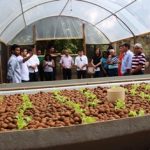 premio-brasil-hidroponia