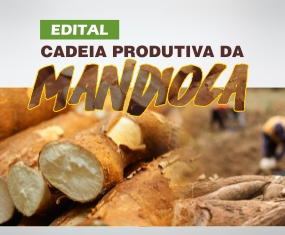 mandioca